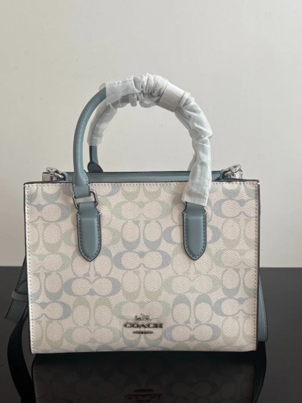 ✨Coach Signature Blue Green Canvas Satchel Handbag